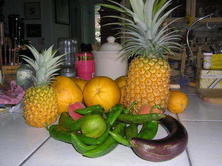 fresh picked goodies from our garden