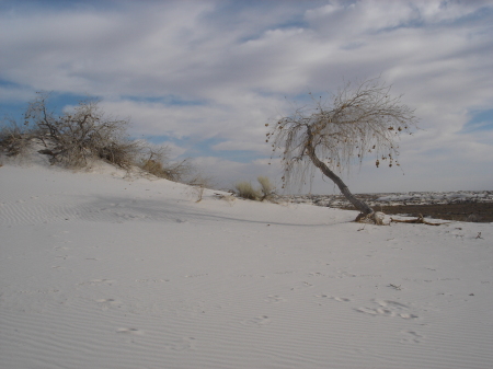 White Sands, NM