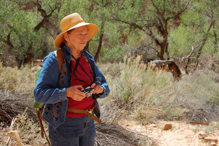 Hiking Horseshoe Canyon