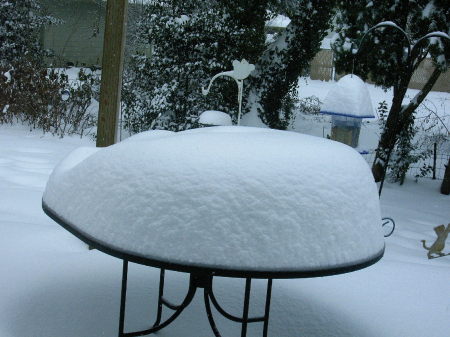 2008 snow storm