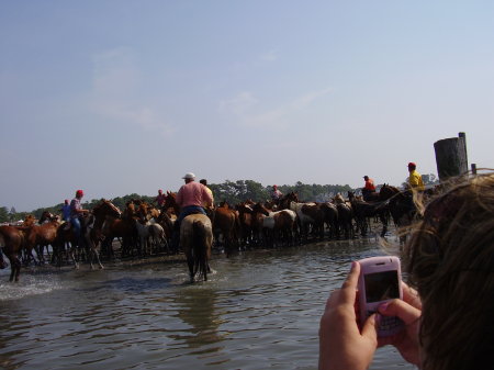 Pony swim 2009