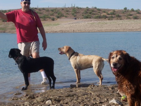 A day in dog heaven (lake pleasant)