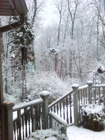Snow from my Deck