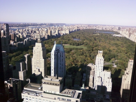 View of Central Park from my office