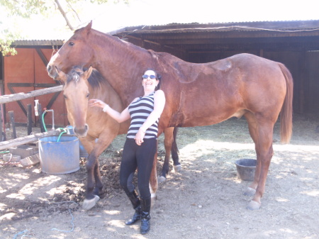 couple of my horses at my ranch