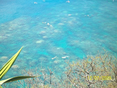 look how clear the ocean is!