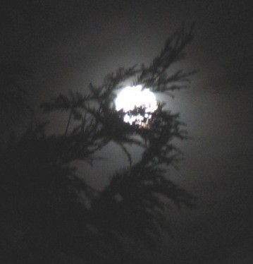 full moon 012a