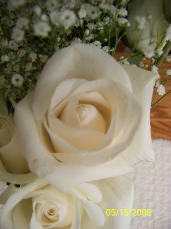 White roses