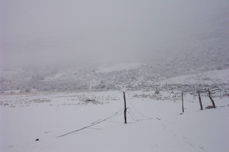 December Elk Hunt