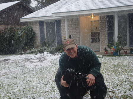 Bear in the snow