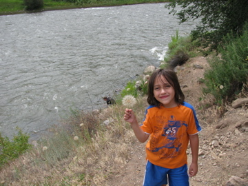 Big Dandelions on the Colorado River