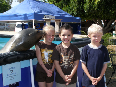 sea lion kiss