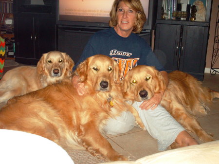 My Goldens