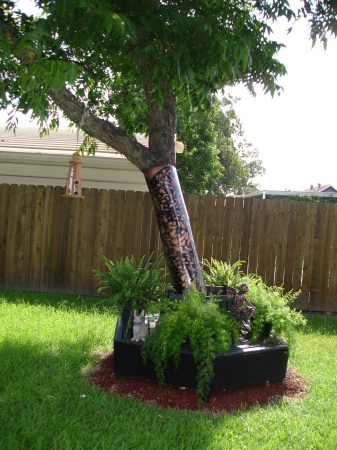 Pecan Tree