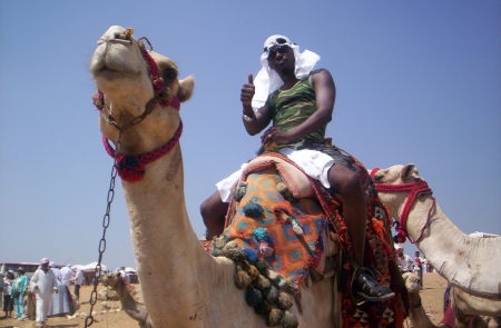 camel ridin