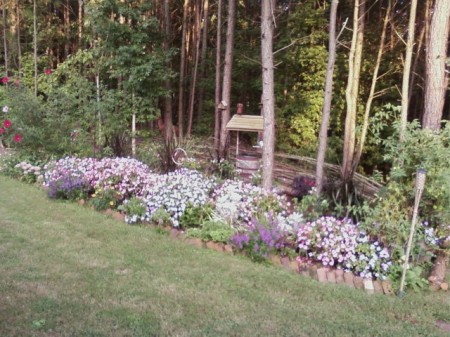 My frontyard flower bed