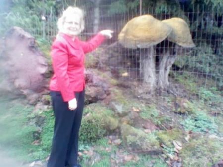 BIG Mushrooms