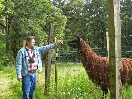 Bert at home