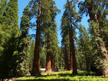 Yosemite