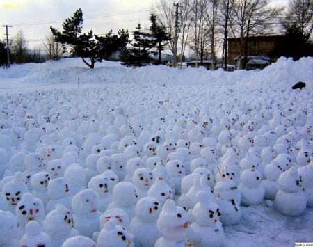 Protest Global Warming...