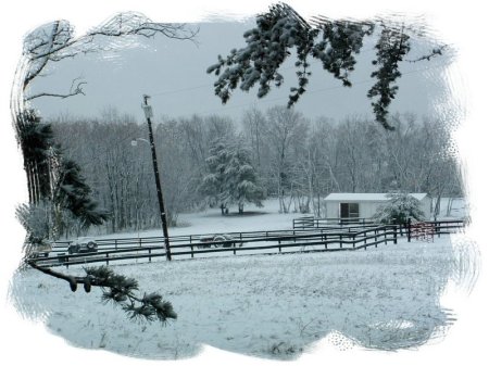 My neighbor's farm