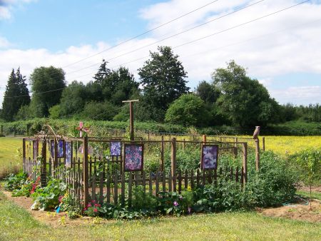 My vegetable garden