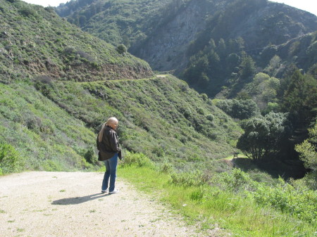 Big Sur 2008