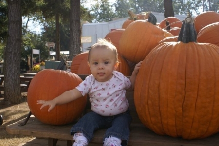 Pumpkins give me more pumpkins!!