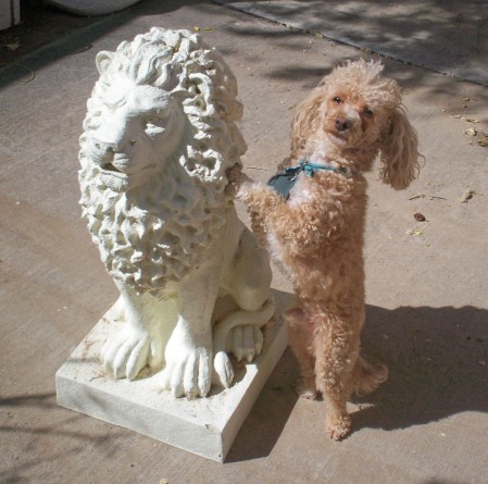 Zeus with Leo 2008