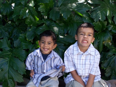 My nephews, Marco & Diego