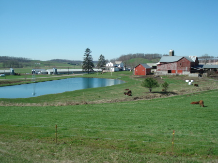 Beautiful farm in Berlin, Ohio (Amish Country)