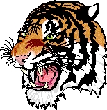 Mercer High School Logo Photo Album