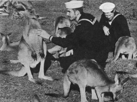 19740614 110000 Bruce With Kangaroos