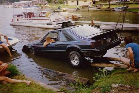 Sunken Mustang