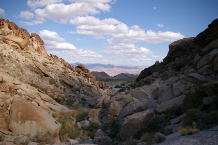 Grapevine Canyon