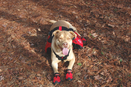 Amber Girl with her hiking gear on