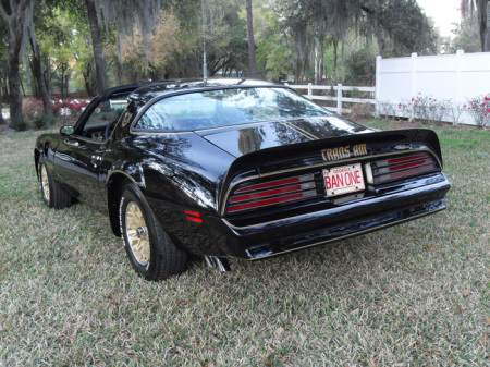 Trans Am 03