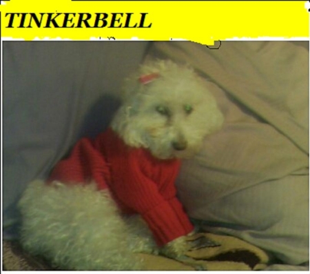 tinkerbellredsweater