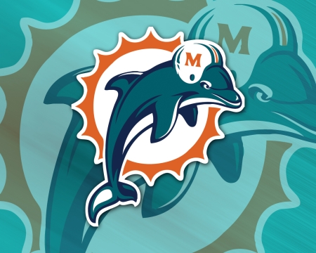 Miami Dolphin