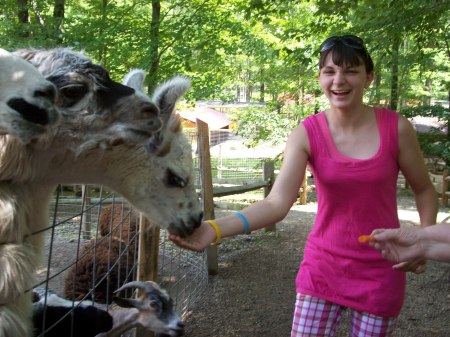 Living Treasure Animal Park New Castle