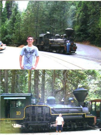 logging train