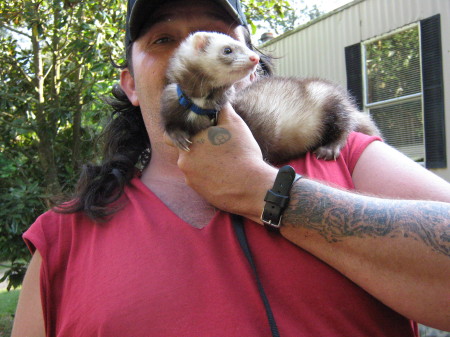 Dixie the Ferret and friend
