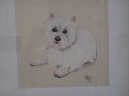 Maddie, deceased.  Pastel portrait for mom