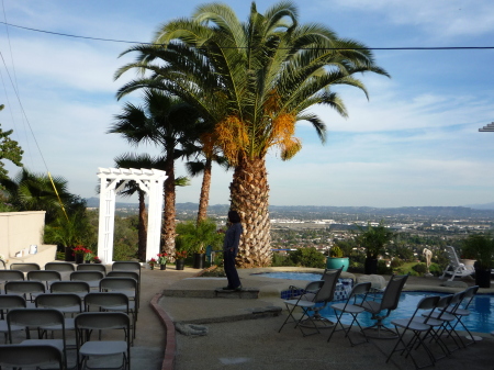 Married in my Backyard