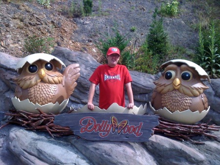 Ronnie soaring with the Eagles at Dollywood.