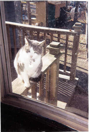 Yes, that was me telling you to let me in!