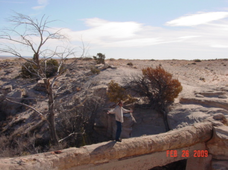 Petrified log bridge