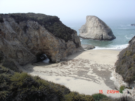 trip up the california coast