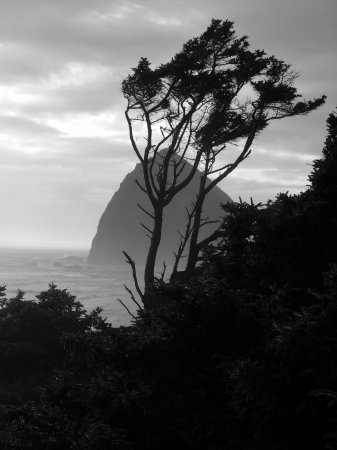 Haystack in the mist