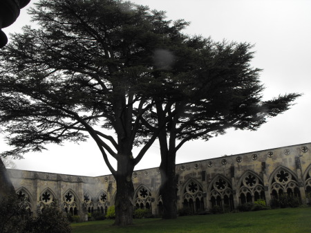 Salisbury Cathedral Courtyard view